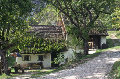 Dolenji Novaki - Domačija Dolenji Novaki 5