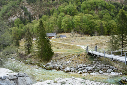 Trenta - Domačija Trenta 1