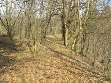 Knežja Lipa - Opuščena kočevarska vas Remergrund