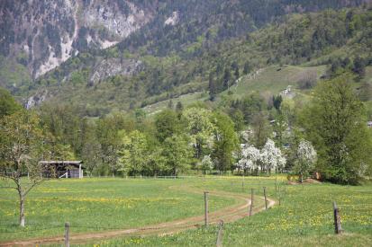 Selo pri Žirovnici - Prazgodovinska naselbina Lebenice