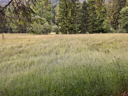 Kranjska gora - Grobišče Napoleonovih vojakov Morga
