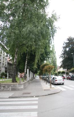 Ljubljana - Emonska cesta, Trg francoske revolucije in Vegova ulica