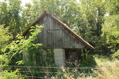 Čela - Godlerjev hram