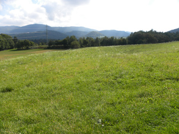 Koroška vas - Arheološko območje Nova gora