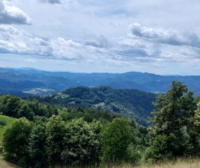 Gradišče pri Litiji - Arheološko najdišče Roven-Gradišče