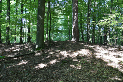 Senik pri Ormožu - Gomilno grobišče Štrkovec