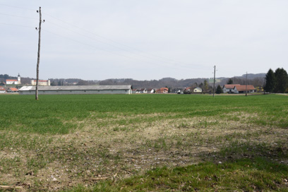 Trgovišče - Rimska cesta