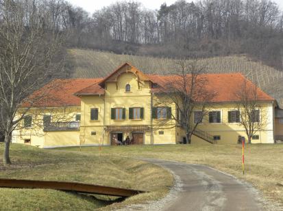 Počehova - Marinova hiša
