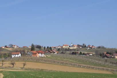 Kog - Vaško jedro