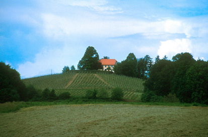 Velika Nedelja - Dvorec Kogl