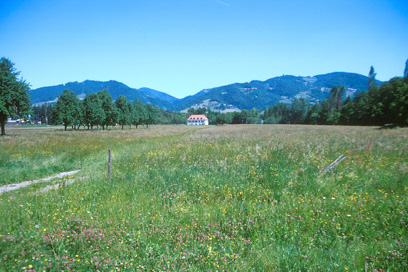 Ruše - Naselbina ob železniški progi