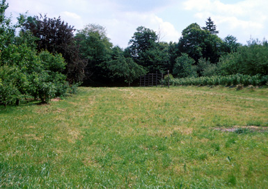 Ruše - Villa rustica