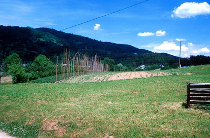 Fala - Villa rustica