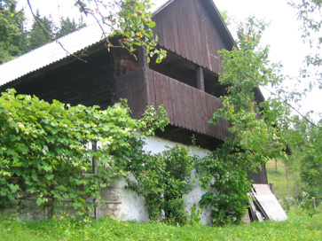 Gradišče na Kozjaku - Haucingerjeva kašča