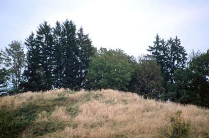 Limbuš - Grad Limbuš