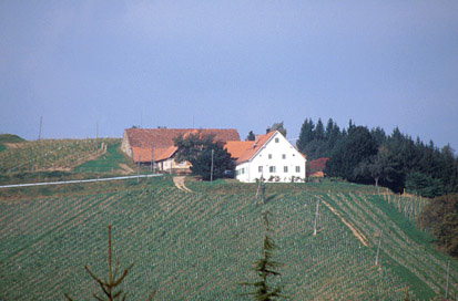 Vrhov Dol - Posestvo Meranovo
