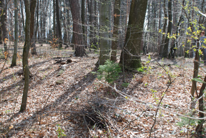 Placar - Rimskodobna gomila Na grebenu