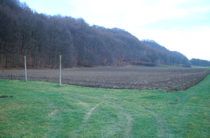 Strejaci - Villa rustica