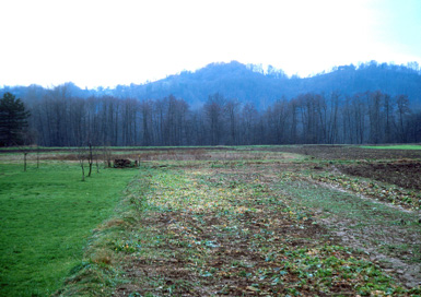 Stojnci - Keltski grob in rimske stavbe