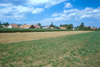 Tržec - Villa rustica