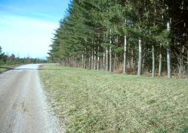 Skorba - Rimsko grobišče