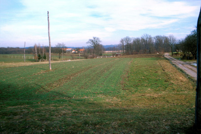 Biš - Gomilno grobišče