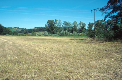 Gorišnica - Okopi