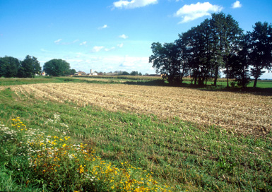 Stražgonjca - Gomila