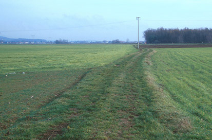 Ptuj - Rimska cesta Poetovio-Savaria