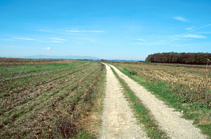 Ptuj - Rimska cesta Poetovio-Mursa