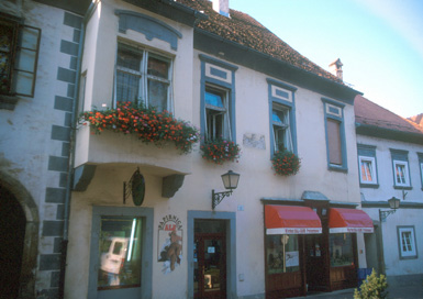 Ptuj - Hiša Prešernova 11