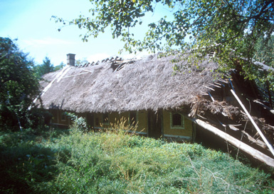 Pacinje - Domačija Pacinje 1