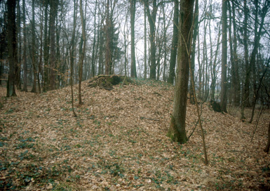 Hercegovščak - Rimskodobno gomilno grobišče