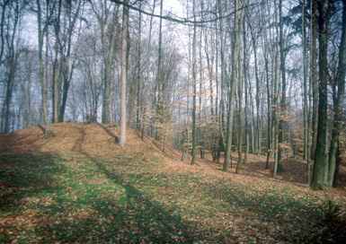 Janhova - Gomilno grobišče