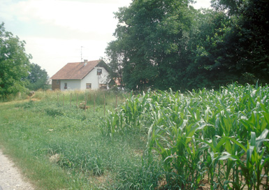 Stogovci pri Žepovcih - Villa rustica