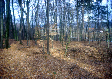 Plitvica - Rimsko gomilno grobišče
