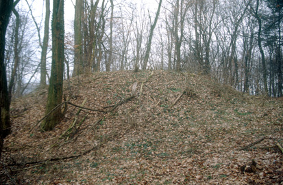 Hercegovščak - Rimskodobna gomila