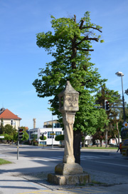 Gornja Radgona - Kužno znamenje
