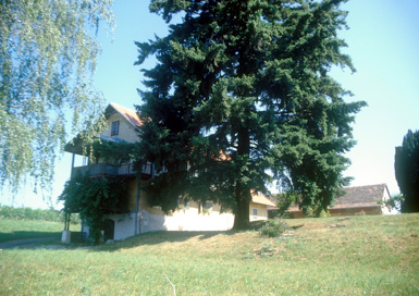 Police pri Gornji Radgoni - Novakova zidanica