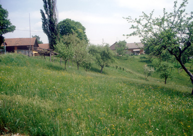 Čepinci - Eneolitska naselbina