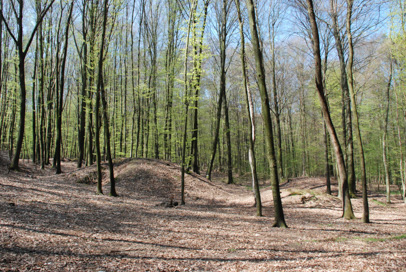 Motvarjevci - Gomilno grobišče Arkos