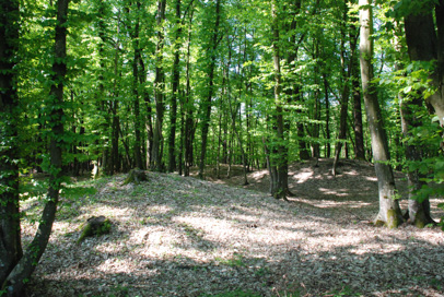 Sebeborci - Gomilno grobišče Gomilice