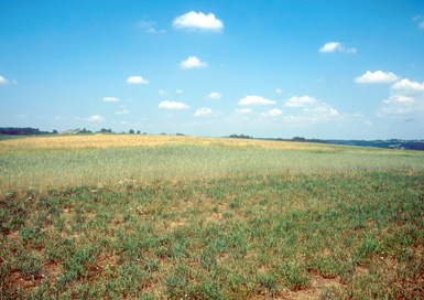 Lucova - Prazgodovinska naselbina Žgalina
