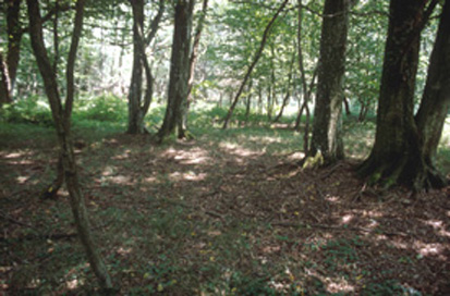 Puževci - Gomila