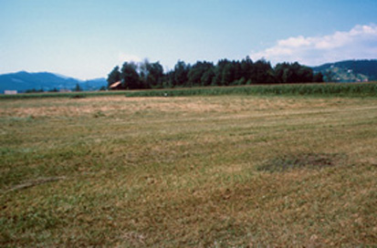Čadram - Villa rustica