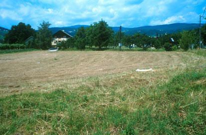 Gladomes - Villa rustica