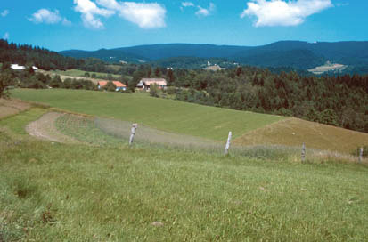 Šmartno na Pohorju - Rimskodobna naselbina