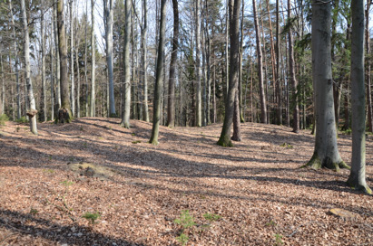 Pokoše - Rimskodobno gomilno grobišče Velenik