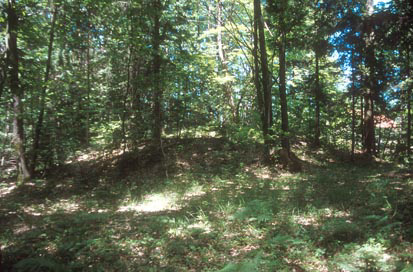 Devina - Ruševine cerkve sv. Egidija