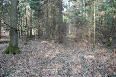 Spodnja Nova vas - Rimskodobna gomila